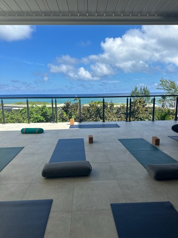 Vida Yoga