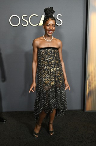 15th Governors Awards - Arrivals