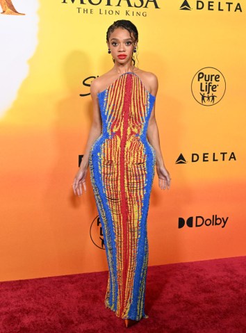 Los Angeles Premiere Of Disney's "Mufasa: The Lion King"